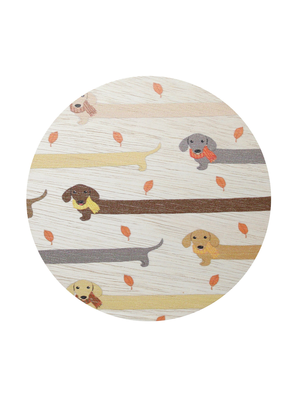 Cozy Sand + Paws Apple Cider 12 oz scented candle