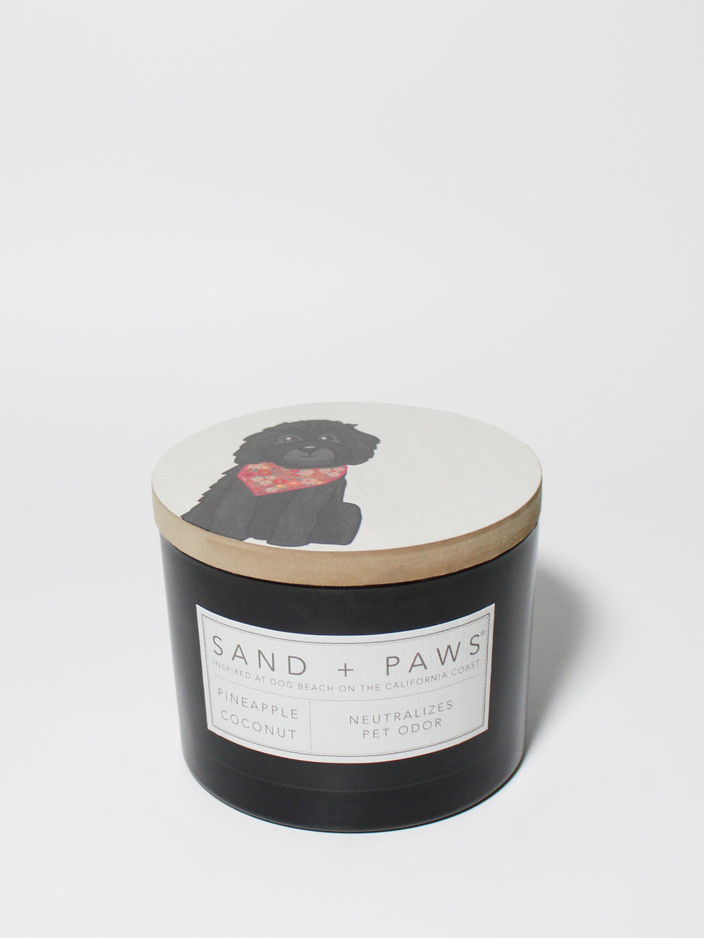 Scented Sand + Paws Pineapple Coconut 12 oz scented candle