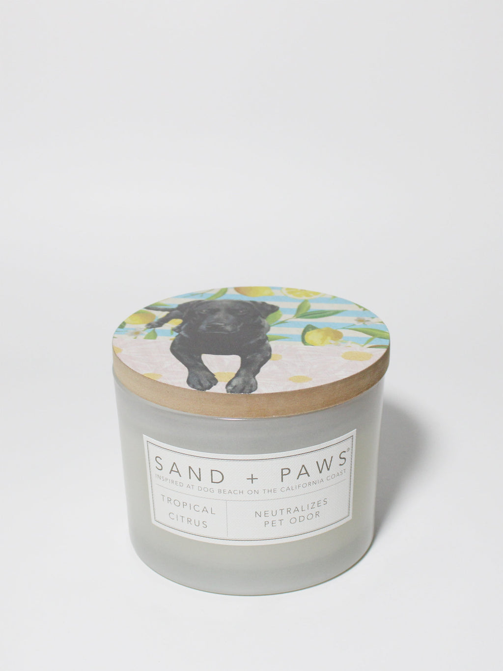 Scented Sand + Paws Tropical Citrus 12 oz scented candle