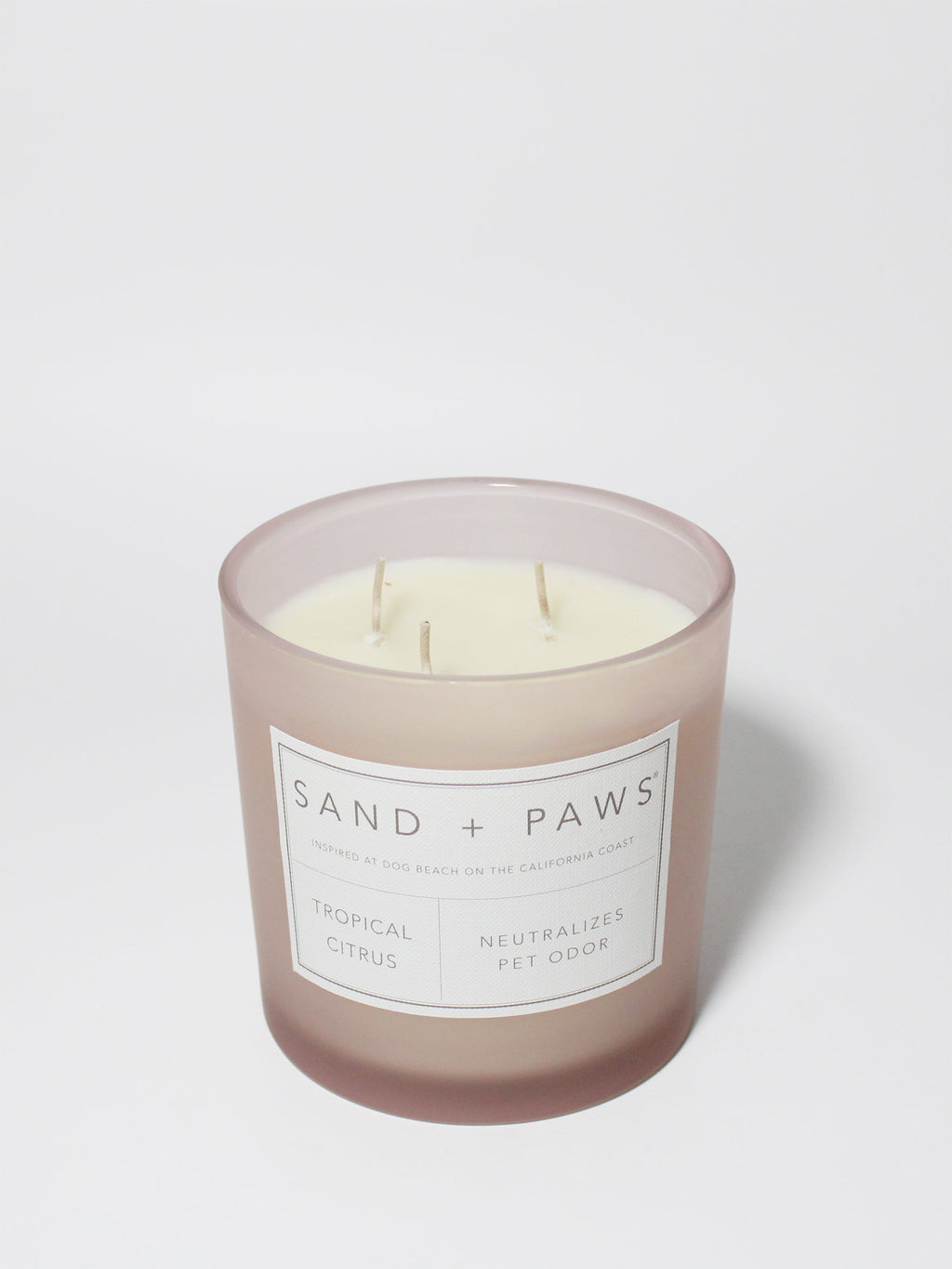 Scented Sand + Paws Tropical Citrus 21 oz scented candle