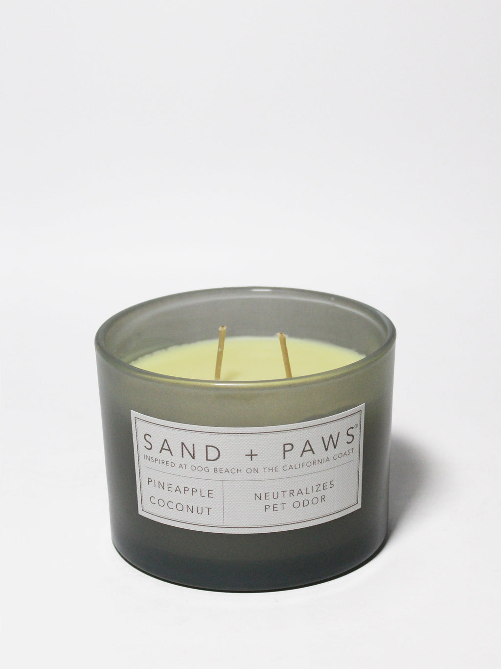Scented Sand + Paws Pineapple Coconut 12 oz scented candle