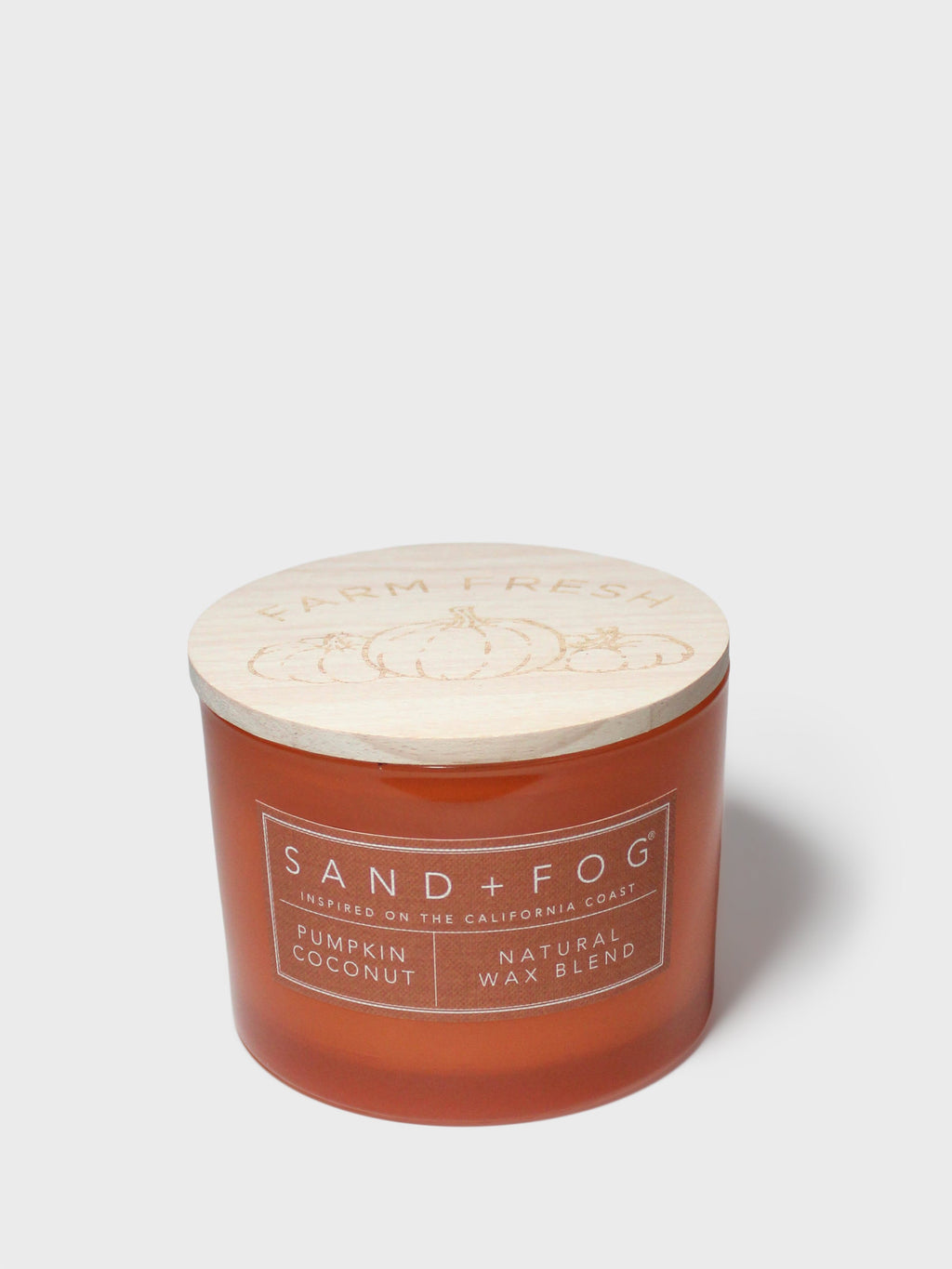 Scented Pumpkin Coconut 12 oz scented candle