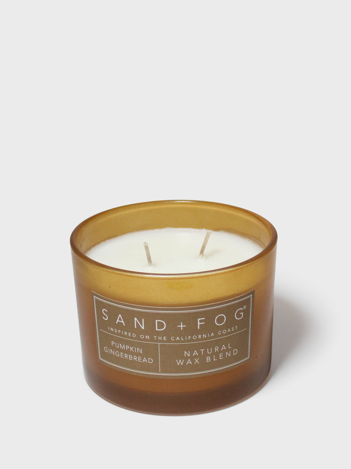 Cozy Pumpkin Gingerbread 12 oz scented candle