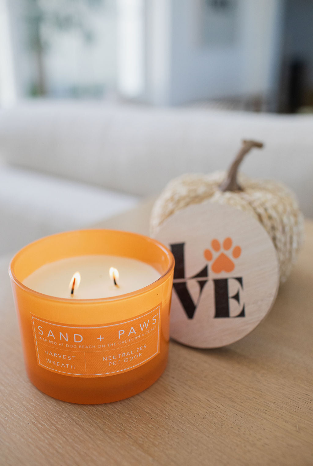 Scented Sand + Paws Harvest Wreath 12 oz scented candle