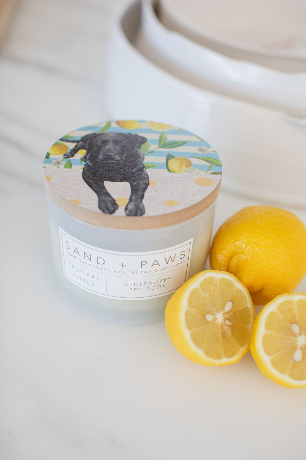 Scented Sand + Paws Tropical Citrus 12 oz scented candle