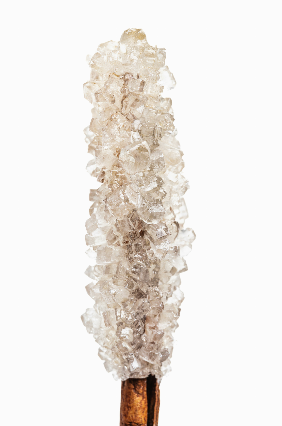 Classic Vanilla Sugar 100 ml Eau de Toilette