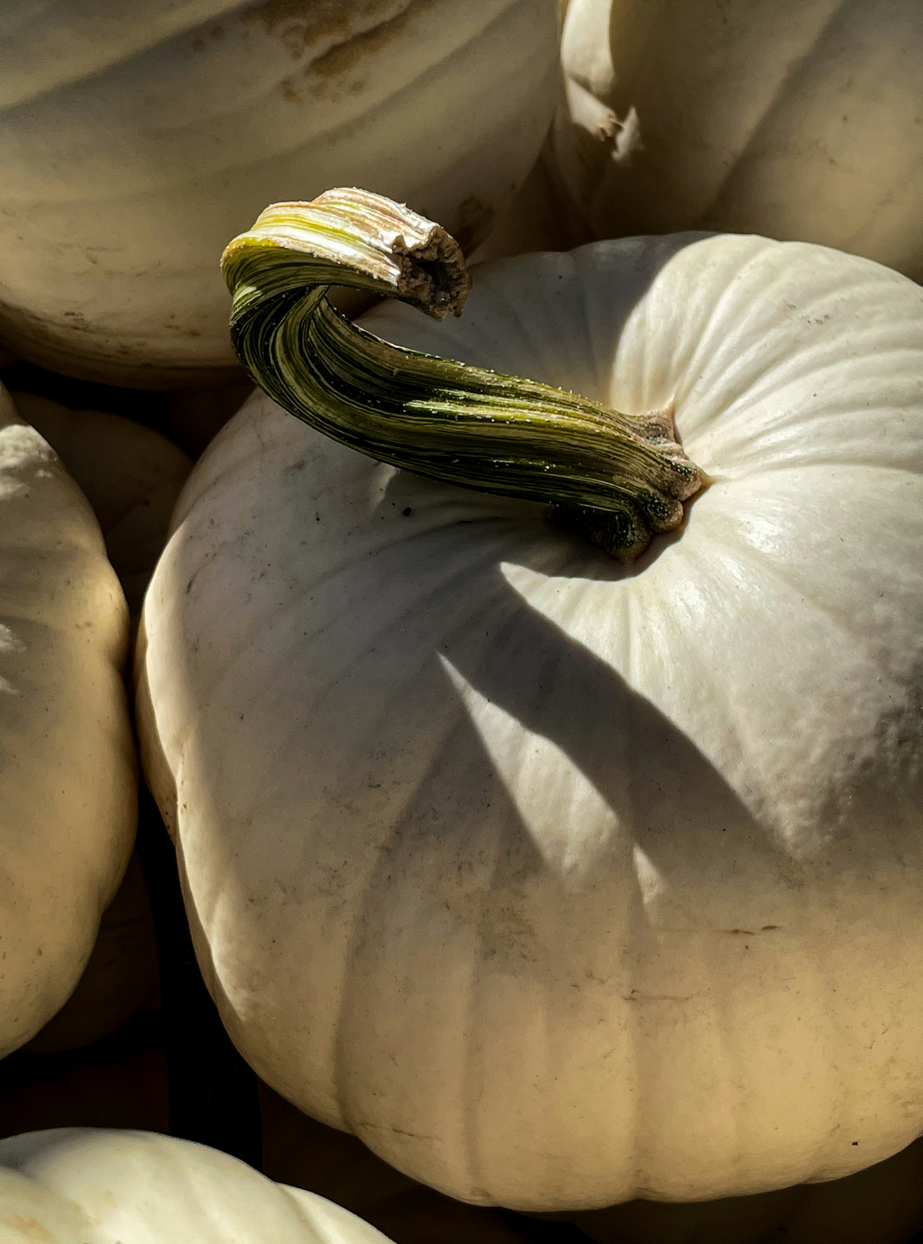 Fresh White Pumpkin 100 ml Room Spray