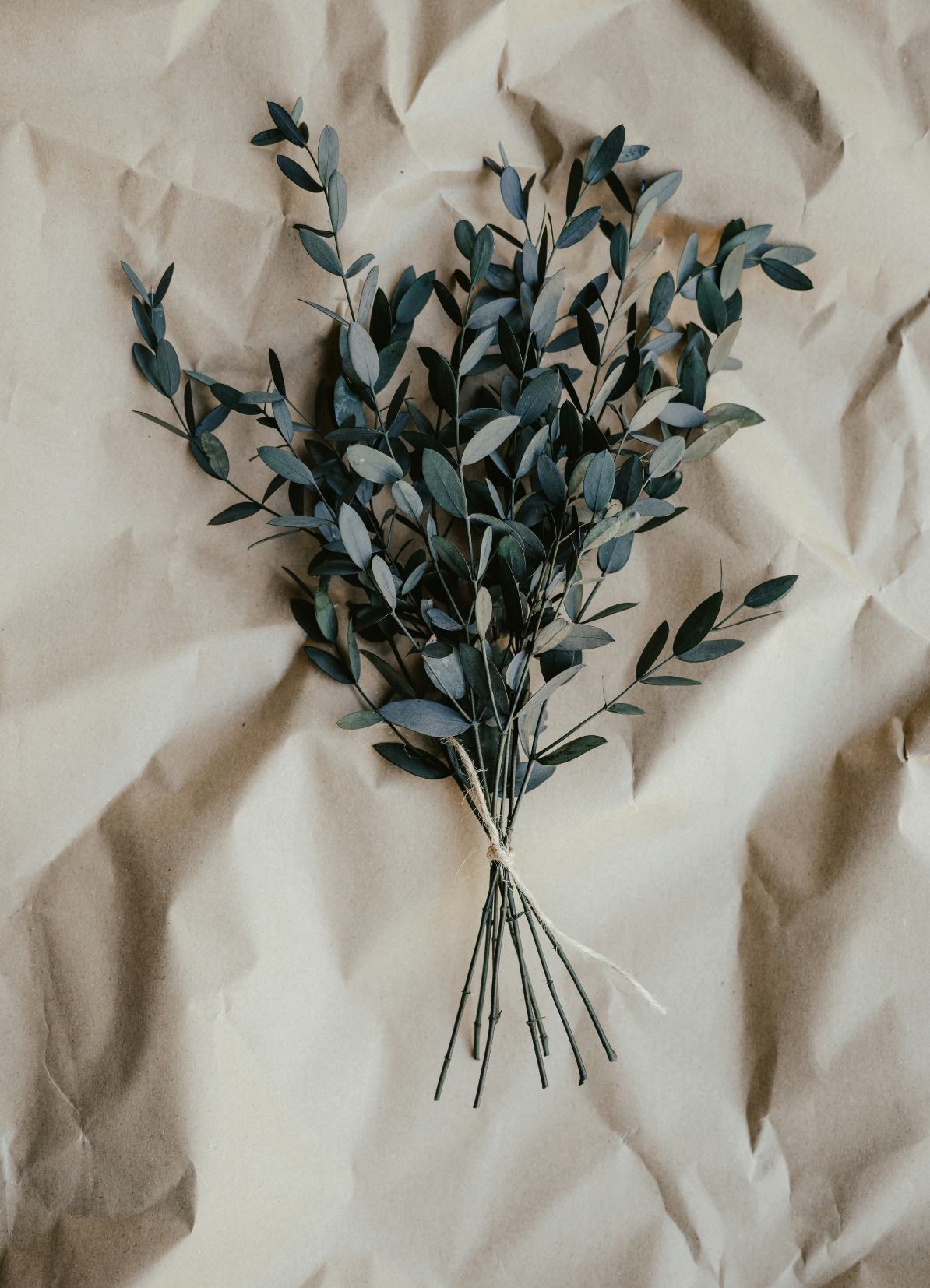 Fresh Eucalyptus 100 ml Room Spray