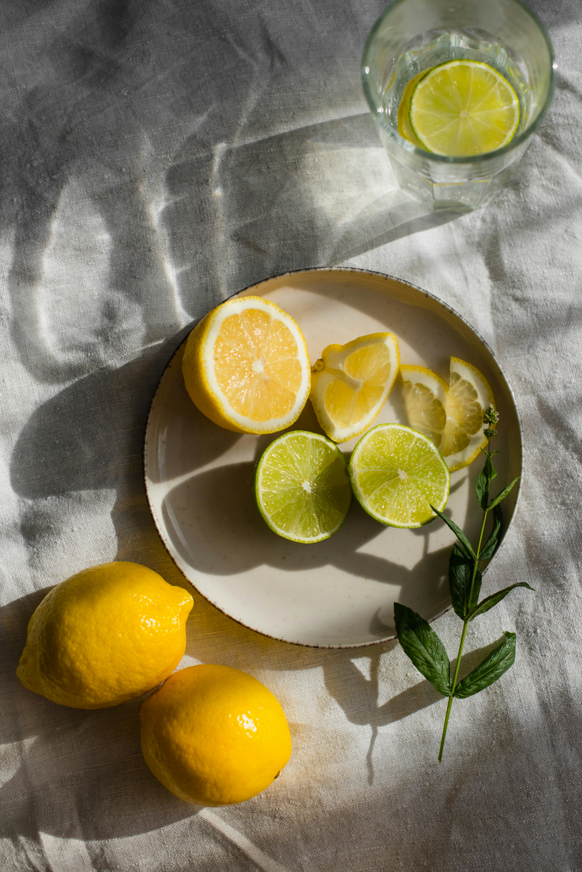 Scented Limoncello 10 oz scented candle