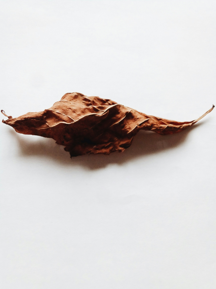 Fresh Vanilla Tobacco 100 ml Room Spray
