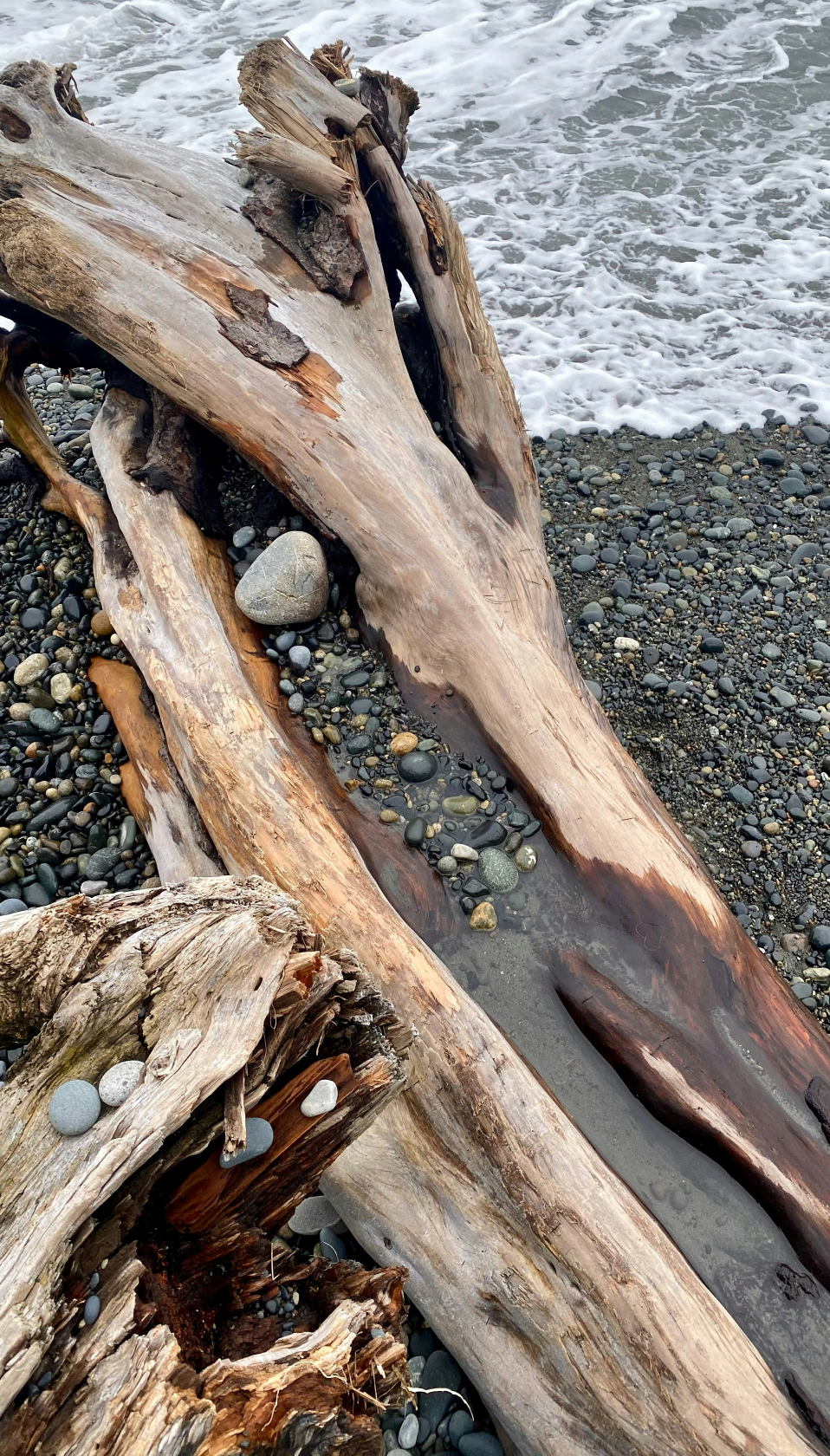 Scented Ocean & Driftwood 10 oz scented candle