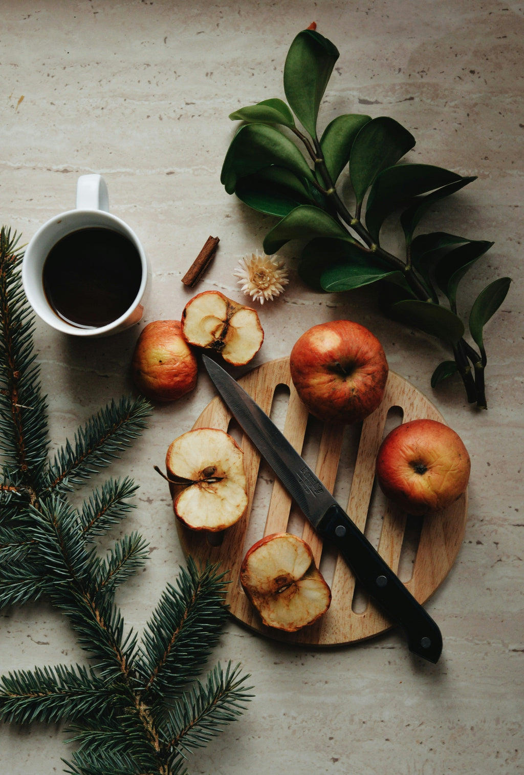 Cozy Apple Spice 12 oz scented candle