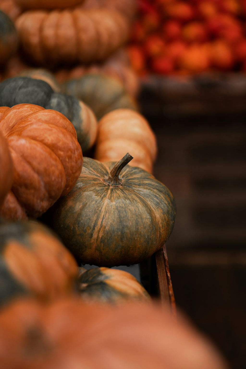 Scented Cinnamon Pumpkin 12 oz scented candle